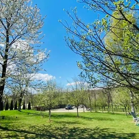 Pensiunea Gradina Mare 게스트하우스 Bughea de Jos