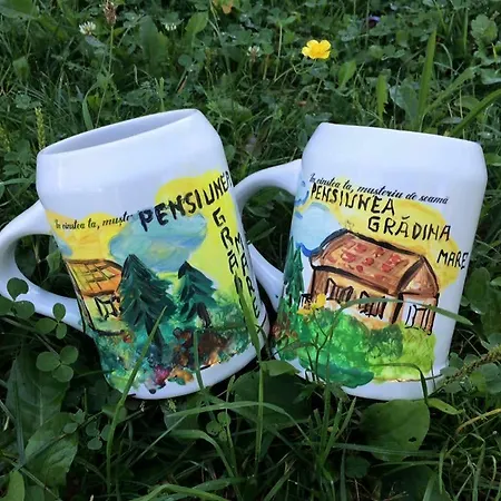 Pensiunea Gradina Mare 게스트하우스