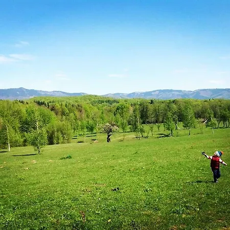 Pensiunea Gradina Mare Bughea de Jos